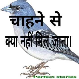 Motivation stories in hindi with moral-चाहने से क्या नहीं मिल जाता। img_20181127_215708_116-3279087