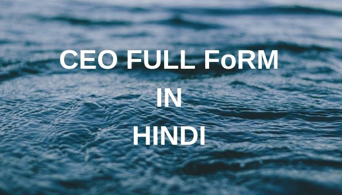 CEO Full Form In Hindi