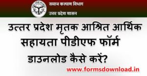 उत्तर प्रदेश मृतक आश्रित आर्थिक सहायता पीडीएफ फॉर्म डाउनलोड कैसे करें? | UP Mritak Ashrit Arthik Sahayata PDF Form