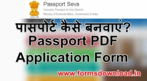 Passport PDF Application Form