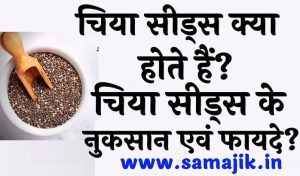 चिया सीड्स क्या होते हैं चिया सीड्स के नुकसान एवं फायदे